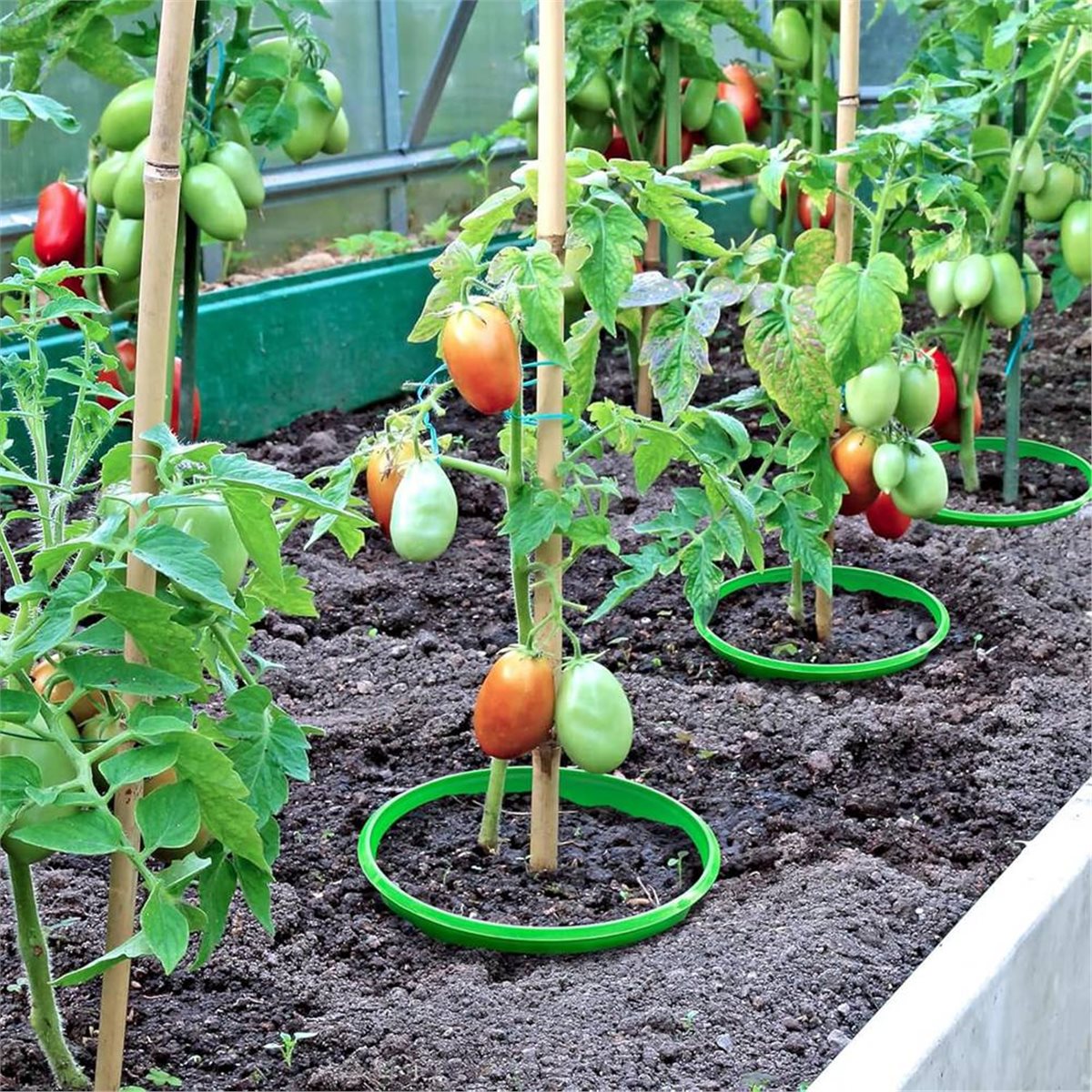 【COUNTDOWN DEAL】 4 plantenbesc - Gardening Tools Deals recensie en prijs