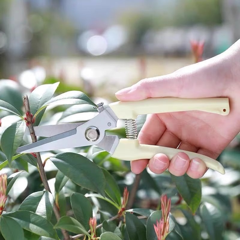 Krachtige snoeischaar voor het - Gardening Tools Pink recensie en prijs