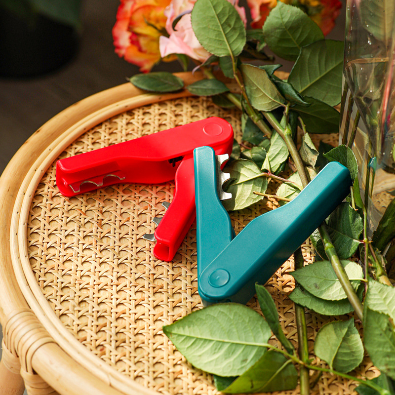 Roestdornstripper, professione - Gardening Tools Pink recensie en prijs