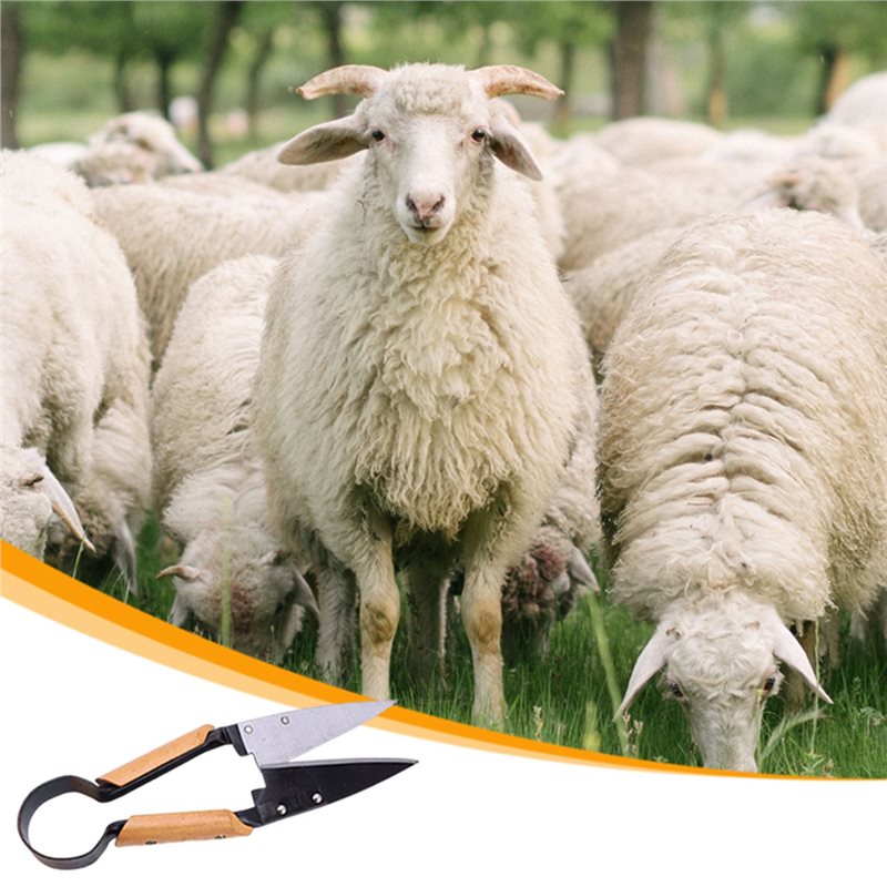 【FLASH DEAL】Zware 13 inch ergo - Gardening Tools Deals recensie en prijs
