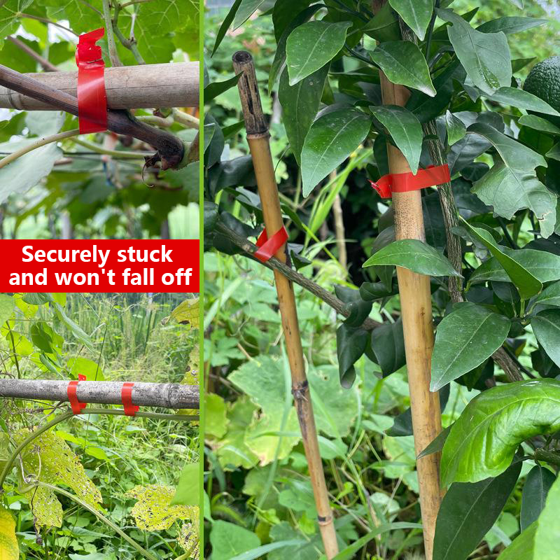 Tuinplanten Takkenbindmachine, - Gardening Tools Gift Set recensie en prijs