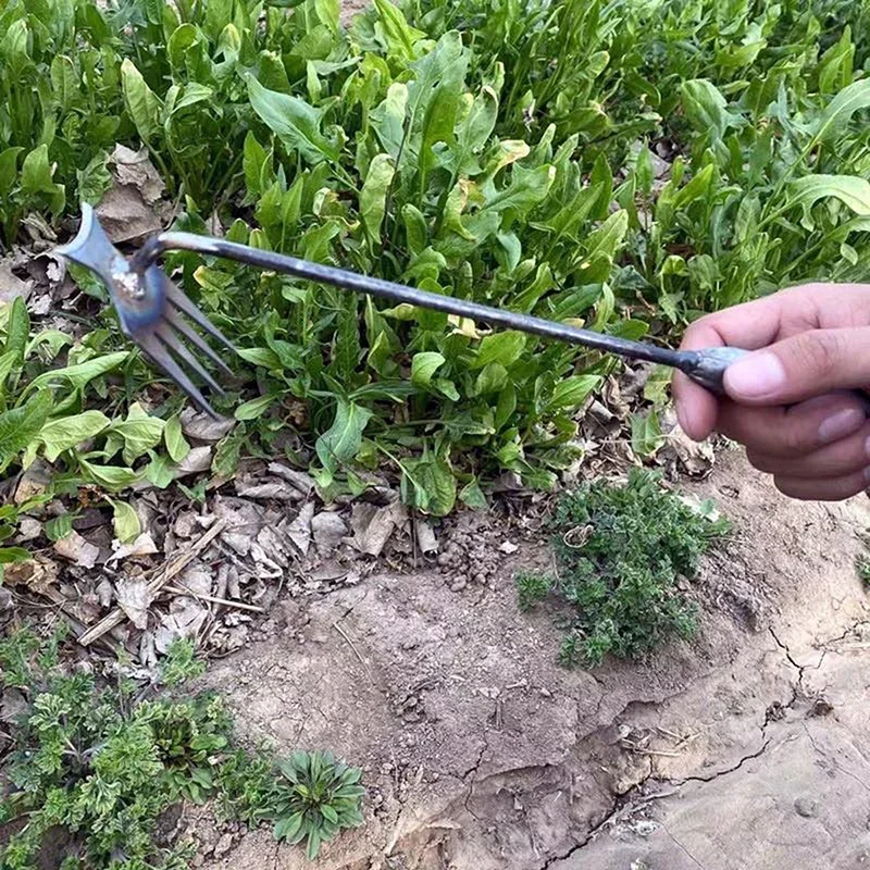 Tuinonkruidverwijderaar, hando - Weed Puller recensie en prijs