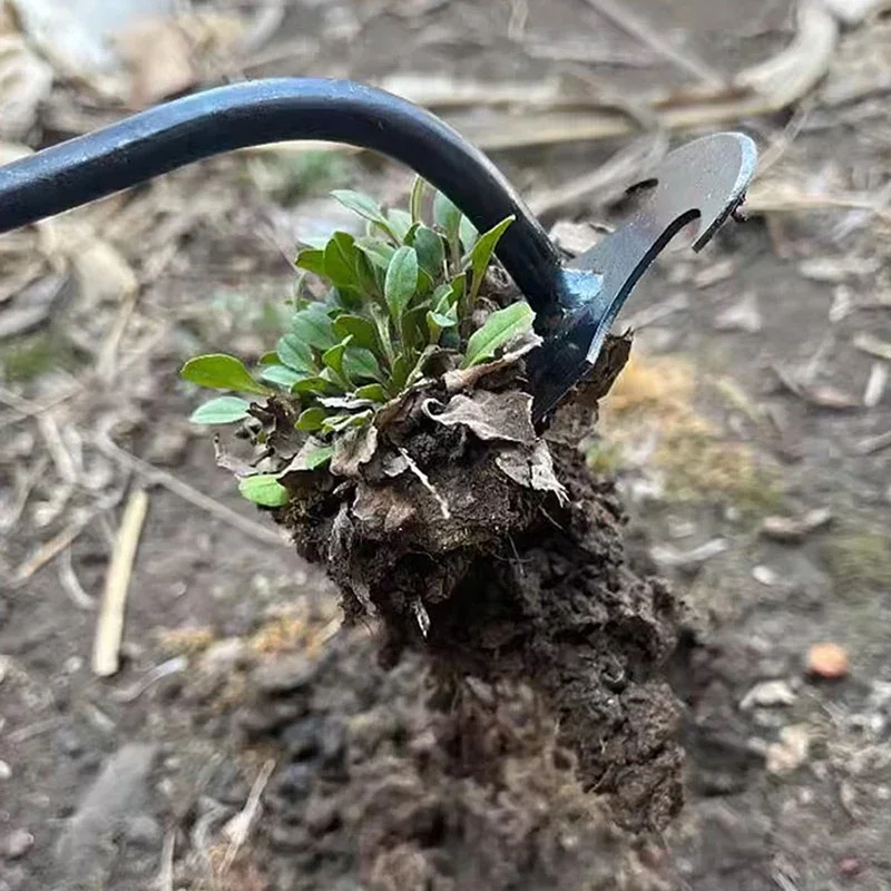 Tuinonkruidverwijderaar, hando - Weed Puller recensie en prijs