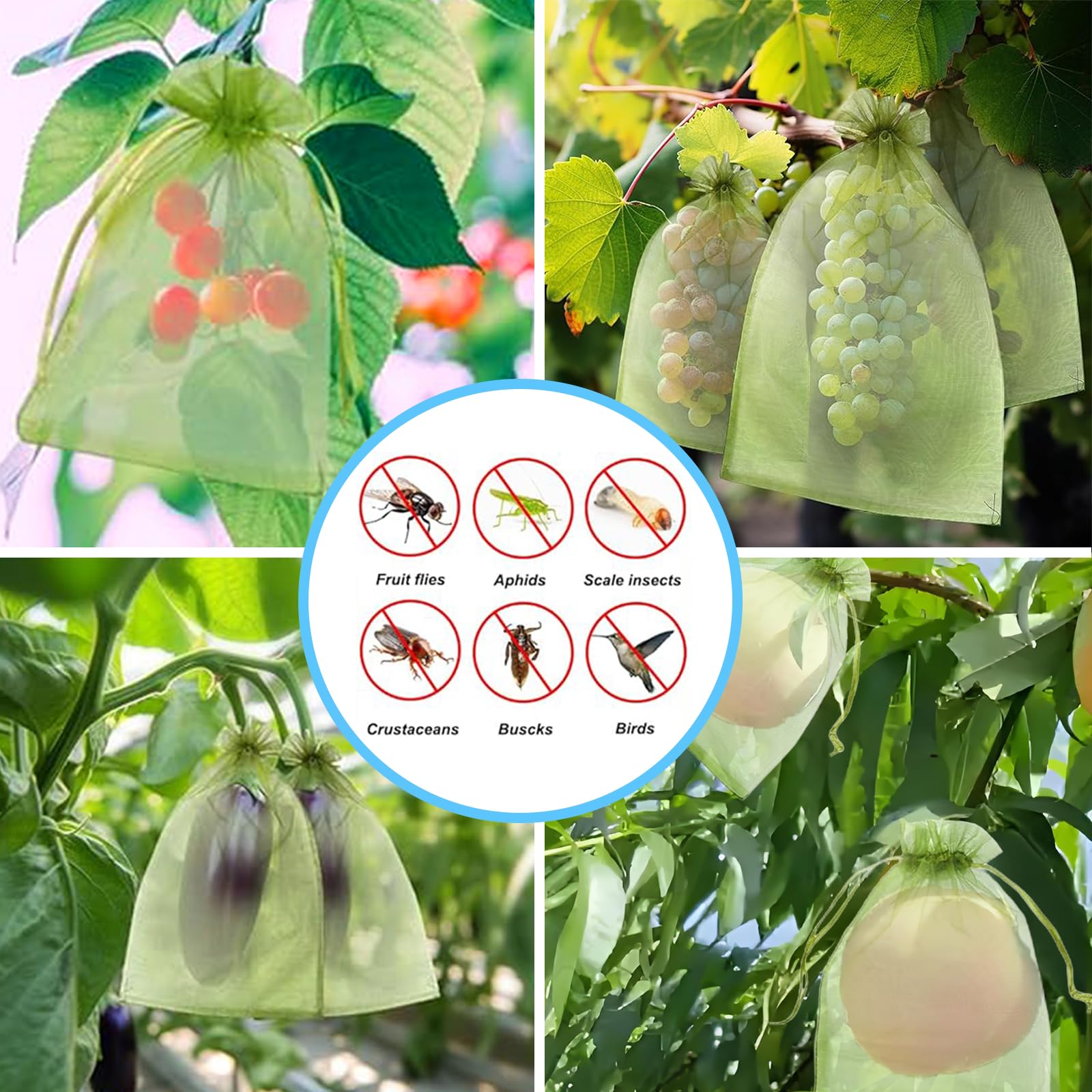 Effectieve anti-vogelnetten, f - Outdoor Planting Bag recensie en prijs