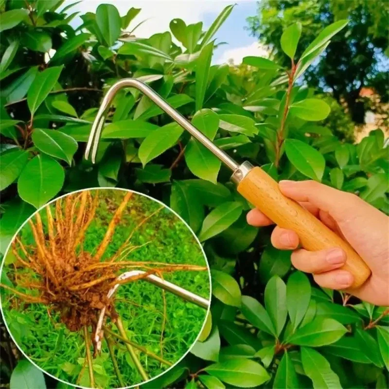 Roestvrij staal tuinieren wied - Weed Puller recensie en prijs