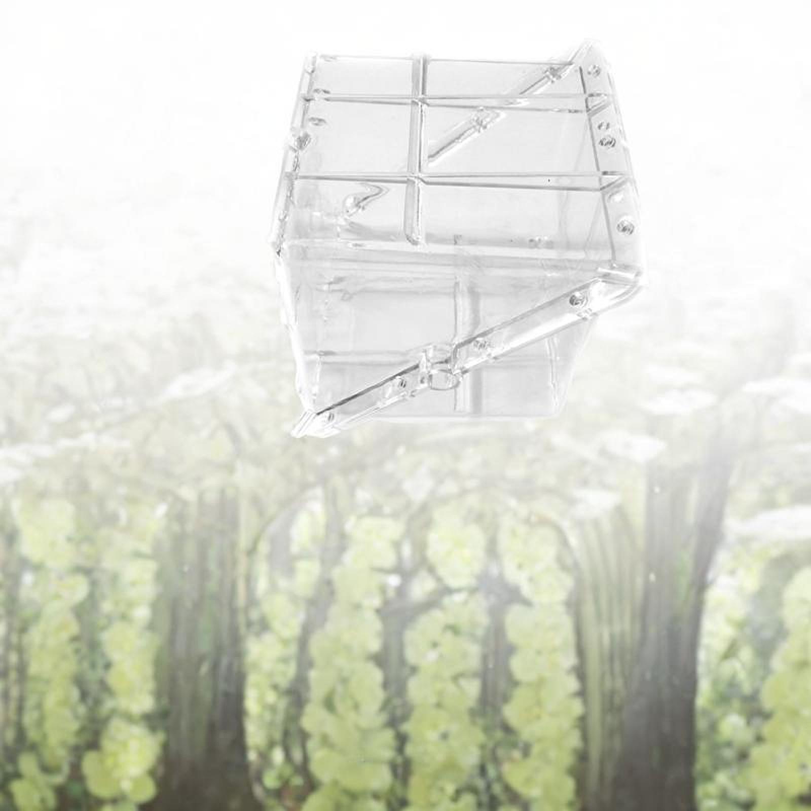 Vierkante watermeloengroeivorm - Gardening Tools Unique recensie en prijs