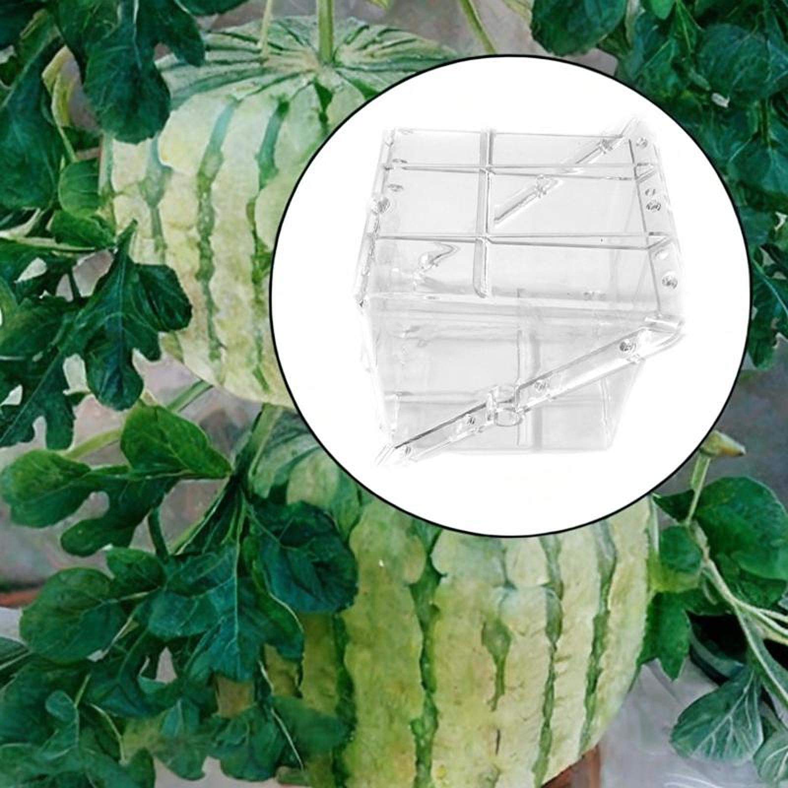 Vierkante watermeloengroeivorm - Gardening Tools Unique recensie en prijs
