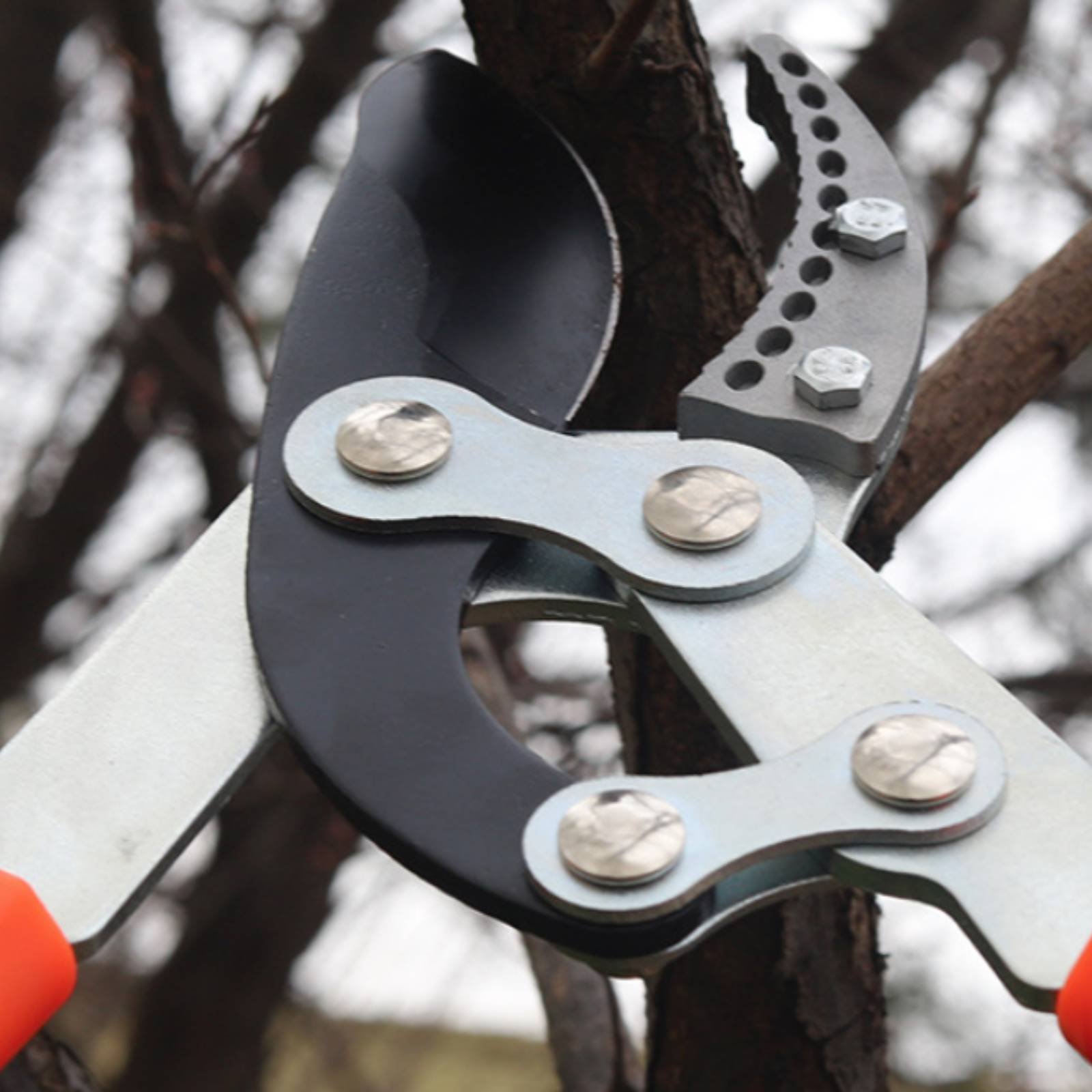 Telescopische takkenknippers S - Gardening Tool recensie en prijs