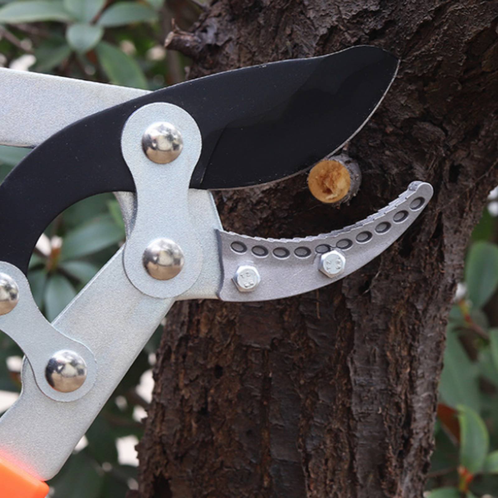 Telescopische takkenknippers S - Gardening Tool recensie en prijs