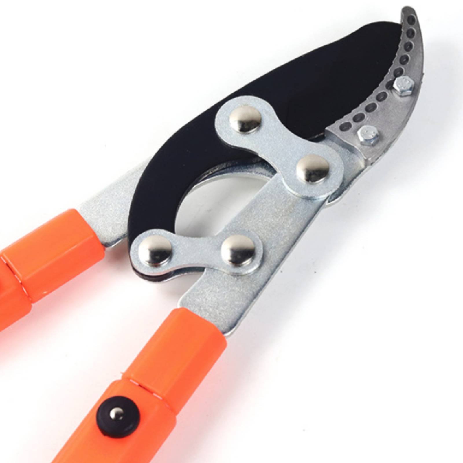 Telescopische takkenknippers S - Gardening Tool recensie en prijs