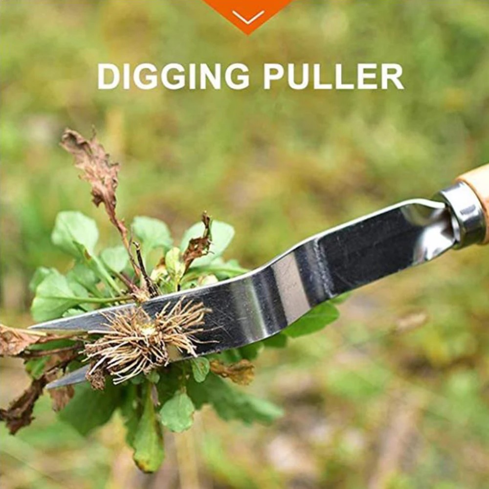 1 Stuks Hout Handvat Roestvrij - Weed Puller recensie en prijs