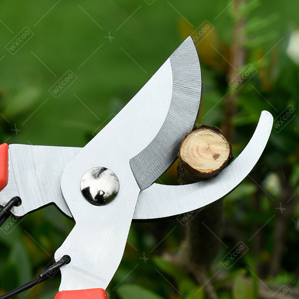 Professionele tuinhandknippers - Gardening Tools Pink recensie en prijs