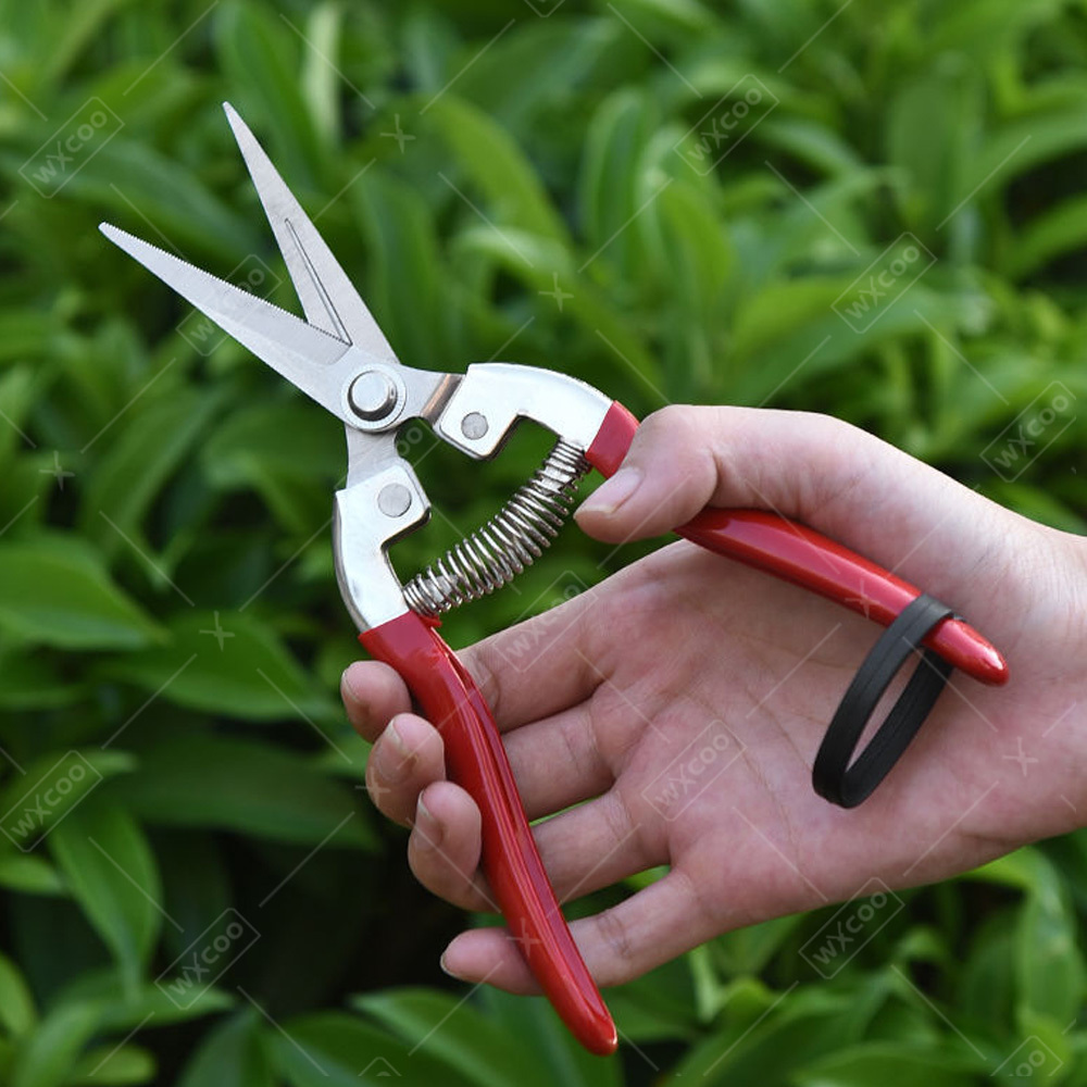 Professionele tuinhandknippers - Gardening Tools Pink recensie en prijs