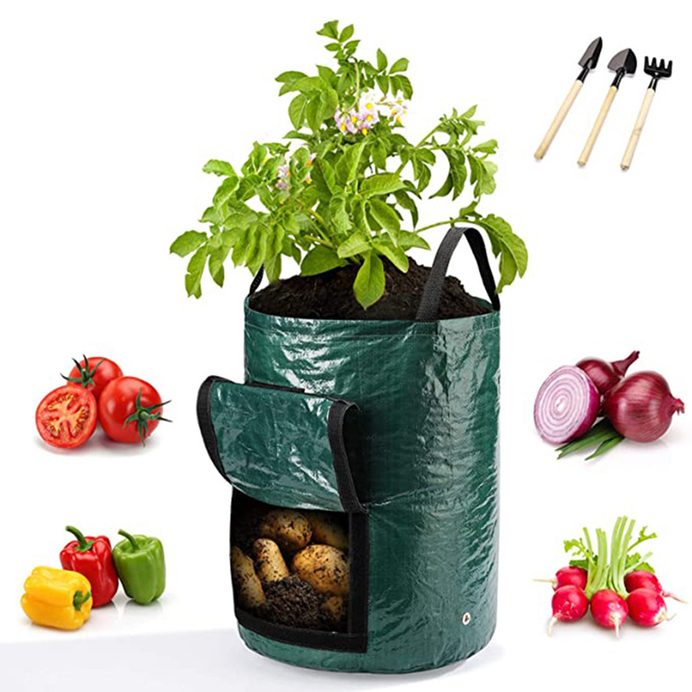 1pc 10-Gallon kweekzakken voor - Outdoor Planting Bag recensie en prijs